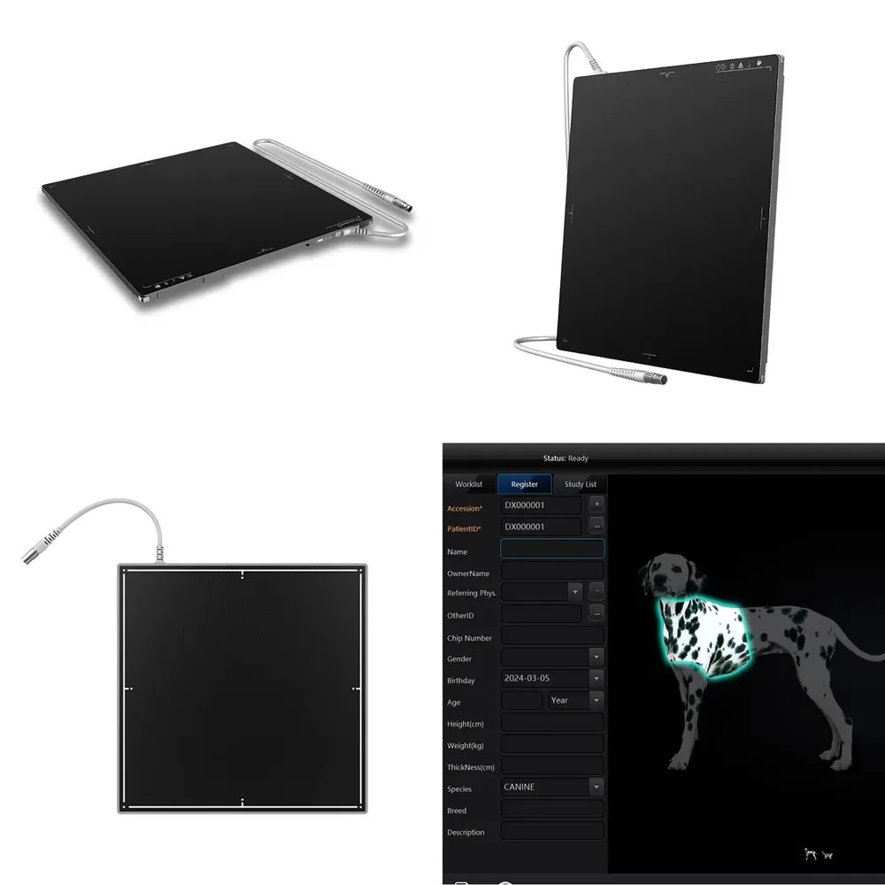 ホットセール 1717インチ AECテック カレレイブランド - Tech Accessories Sale のレビューと価格